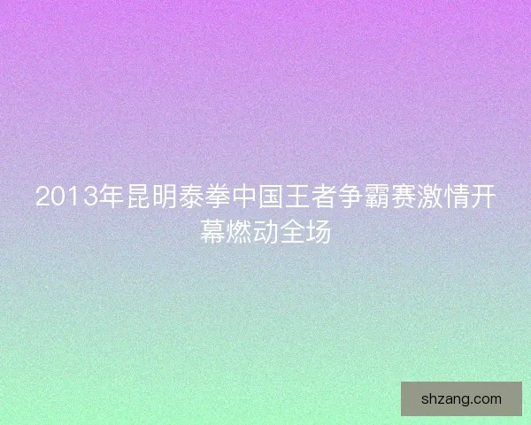 2013年昆明泰拳中国王者争霸赛激情开幕燃动全场
