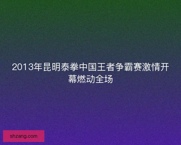 2013年昆明泰拳中国王者争霸赛激情开幕燃动全场