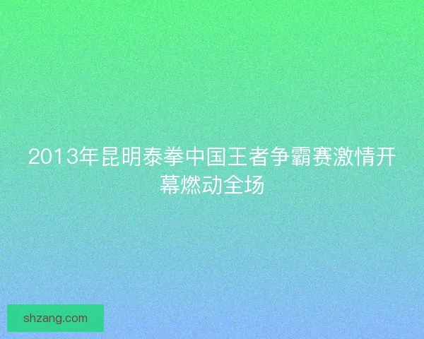 2013年昆明泰拳中国王者争霸赛激情开幕燃动全场