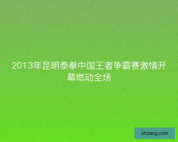 2013年昆明泰拳中国王者争霸赛激情开幕燃动全场